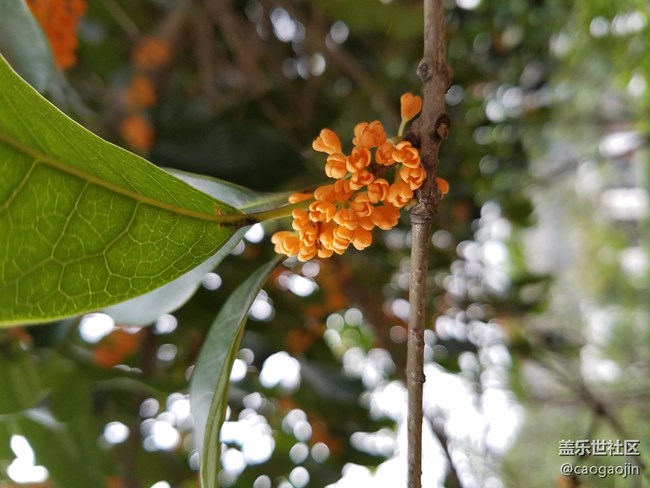 三星S7 EDGE  你也可以拍出這么美的照片!