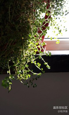 綠色好心情(σ°?°)σ..:*☆