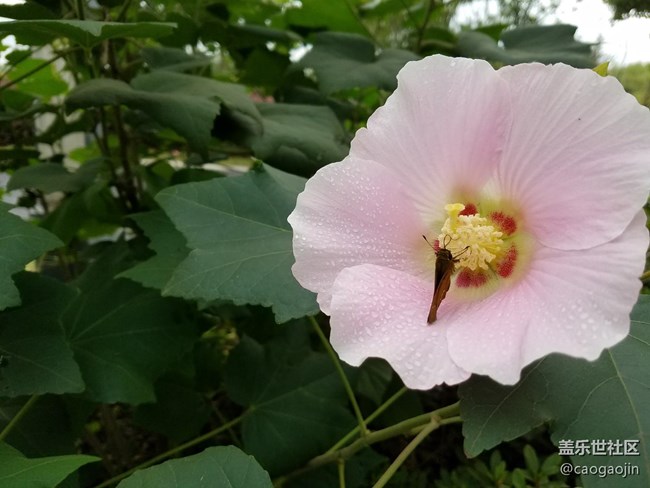 三星S7 EDGE  你也可以拍出這么美的照片!