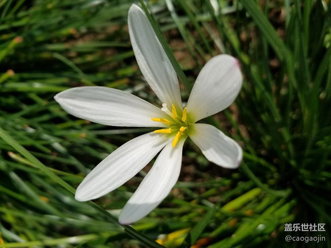 三星S7 EDGE  你也可以拍出這么美的照片!