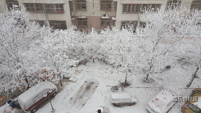 千樹(shù)萬(wàn)樹(shù)梨花開(kāi)