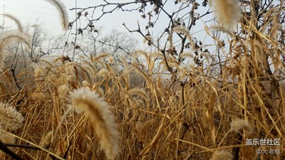 霧霾天氣深山見