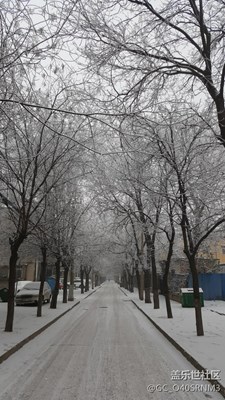 新年的第一場(chǎng)雪