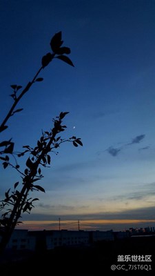 小區(qū)邊上的風(fēng)景   s6