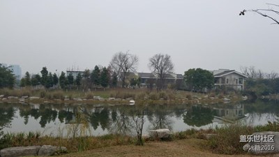 錦城公園一游