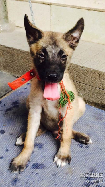 心鬧的煩…怎么取舍？root  /三星pay？