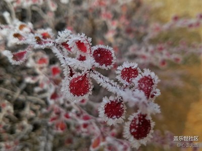 【冬天的顏色】+北京+2017年北京變成夢幻的童話世界