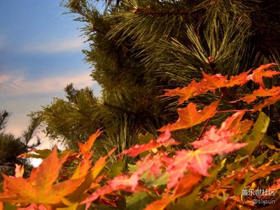 【冬天的顏色】+北京+隨拍