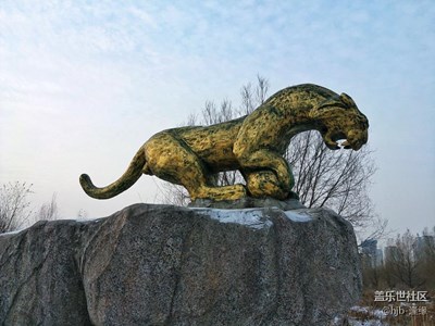 【冬天的顏色】+哈爾濱+東北虎林園一游（2）