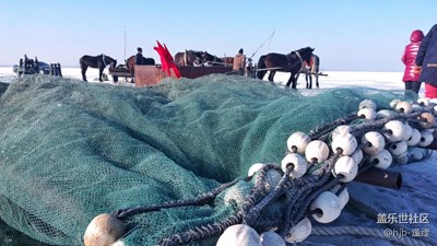 【冬天的顏色】+吉林+觀查干湖冬捕一日游（1）