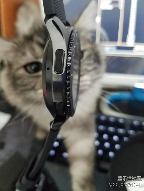 【用科技智造時間】我家貓咪對我表比我還急