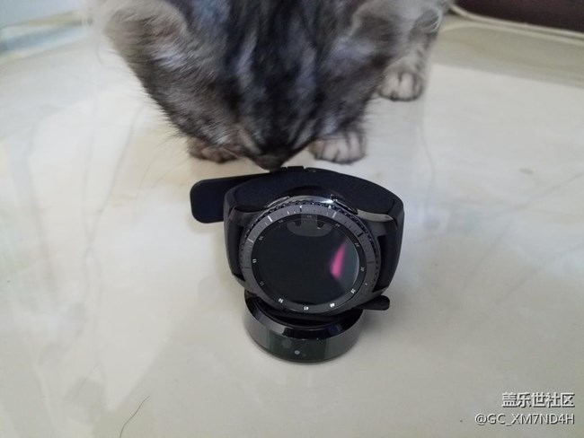 【用科技智造時間】我家貓咪對我表比我還急