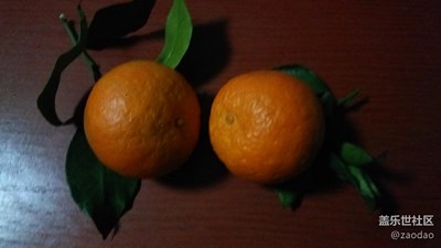 三星A8拍攝 丹棱縣 愛媛 和 丑柑