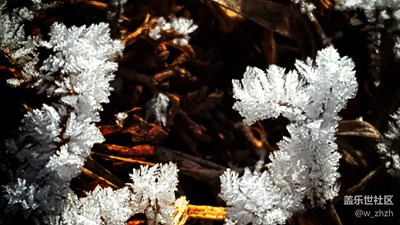 家鄉(xiāng)的冬天有*?。╩engliao)