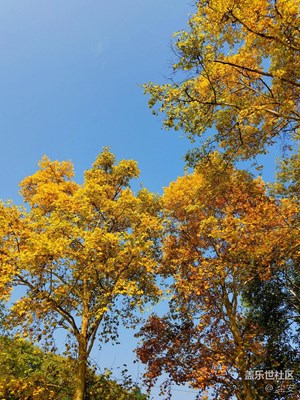 環(huán)湖路一路風(fēng)景