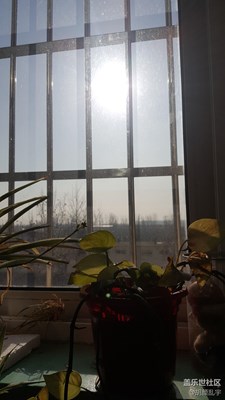 強(qiáng)逆光拍攝黑成這樣了