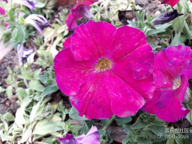 A7108升級安卓6.0