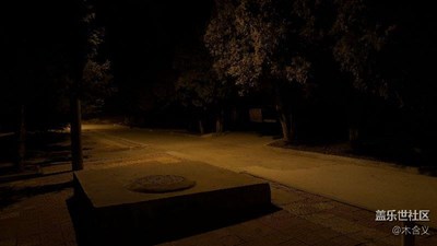 隨拍……專業(yè)模式