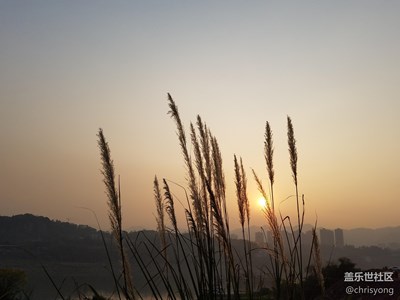 夕陽(yáng)