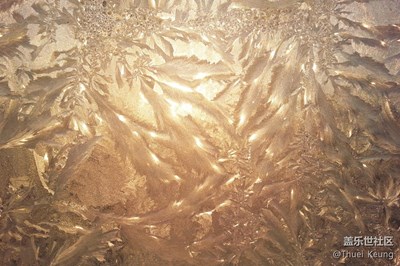 【家鄉(xiāng)美】+哈爾濱+北國(guó)冬日