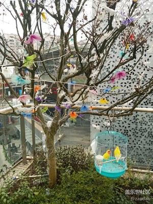 【家鄉(xiāng)美】+成都+第二故鄉(xiāng) 美食，霧霾，火鍋 with 三星A8