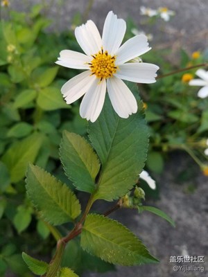 那些流逝的光彩