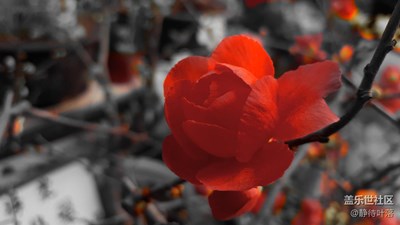 【拍吧攝影周賽第二十二期】家鄉(xiāng)美 獲獎名單