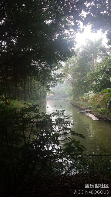 沒錢買新機，只好用3年兩個月前的s4拍照。。。