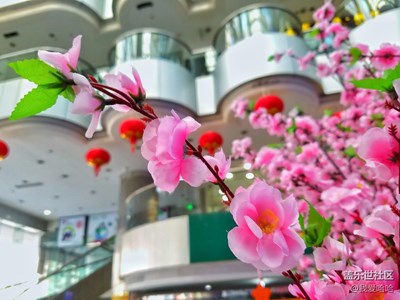 【年味】+廈門+紅紅火火迎新年