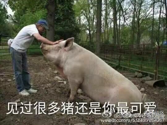 三星坑我不淺
