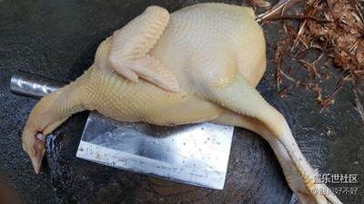 年味+南雄+土雞