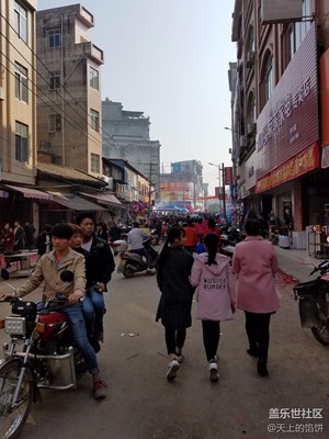 陽光明媚，喜氣洋洋，熱熱鬧鬧！