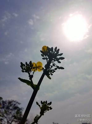 ??大自然的氣息