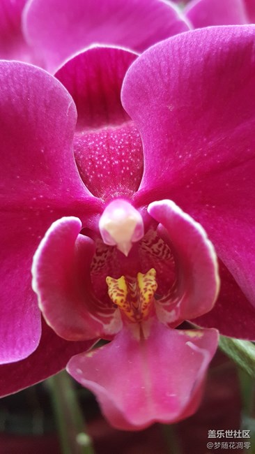 隨便拍了兩張，鑒賞一下