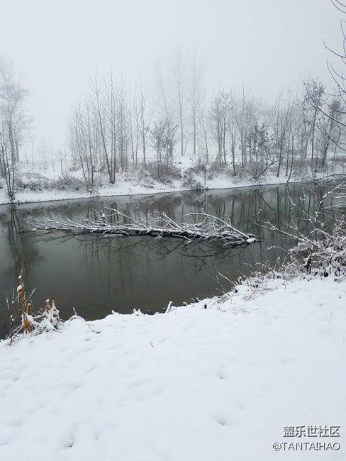 這個(gè)冬天，你們那里下雪了嗎