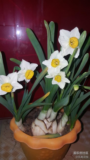 相機(jī)優(yōu)化