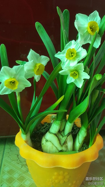 相機(jī)優(yōu)化