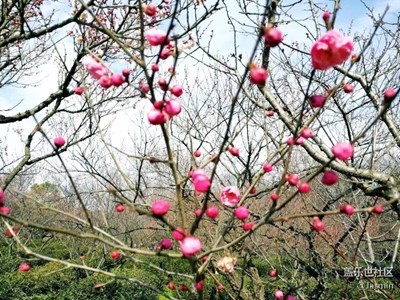 昨天出去玩拍的??