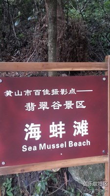 黃山翡翠谷（情人谷）7