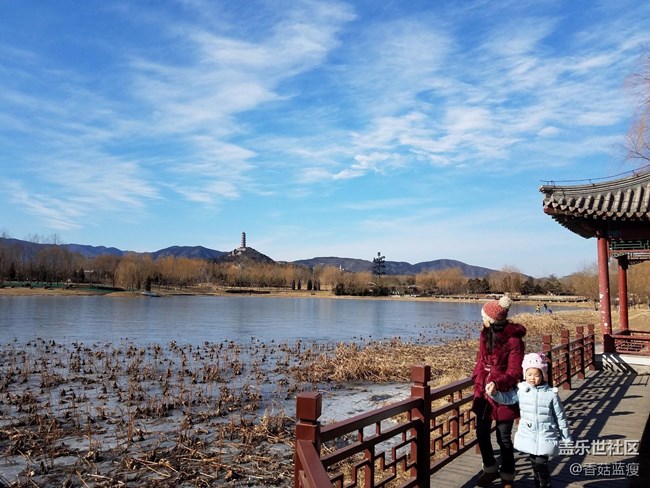 不用天天盯著升級，帶著手機看看外面的風景吧