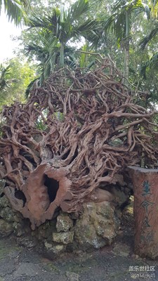 火山地質(zhì)公園