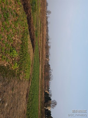 故鄉(xiāng)之景