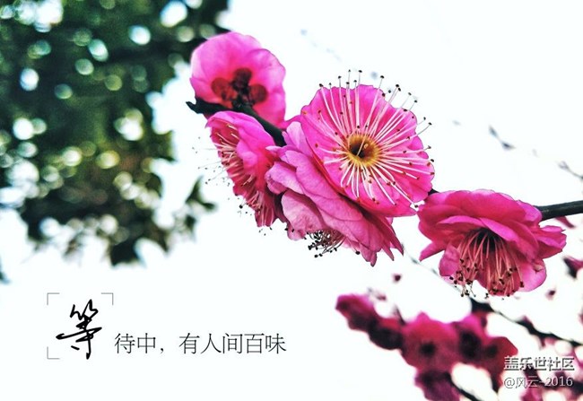 每周精帖匯【第41期： 】