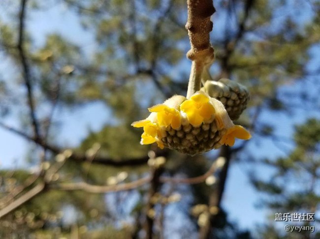 今天在公園里面隨便拍些照片，分享一下。
