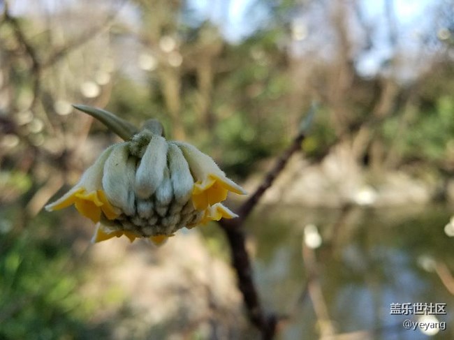 今天在公園里面隨便拍些照片，分享一下。