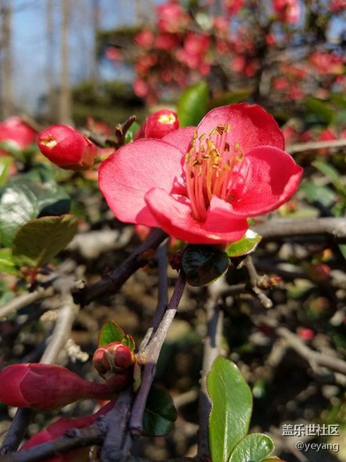今天在公園里面隨便拍些照片，分享一下。