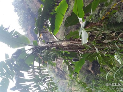 三星A拍貴州馬嶺河