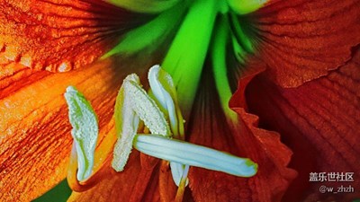 不只是記錄，還要交流！