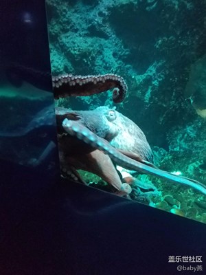 海底世界