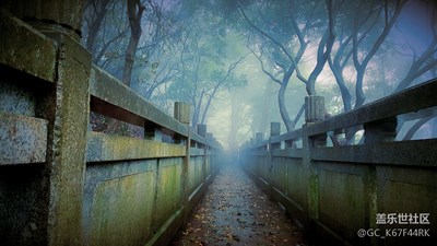 林中有小路